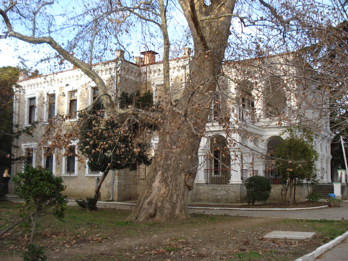 Дача купца Стахеева)